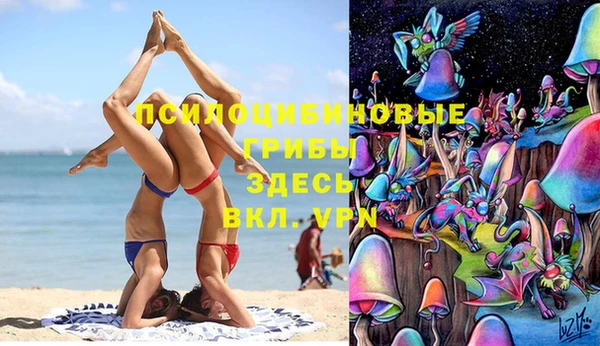 гашишное масло Аркадак