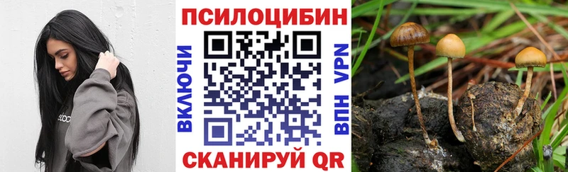 даркнет сайт  Саров  Псилоцибиновые грибы мухоморы 